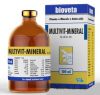 Multivit Mineral solutio 100 ml